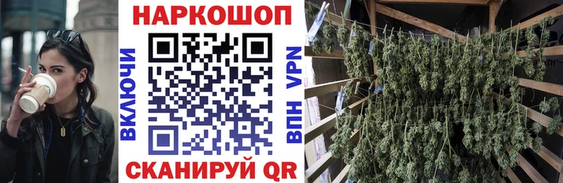 Цена Волосово Марихуана Псилоцибиновые грибы ГАШ Мефедрон