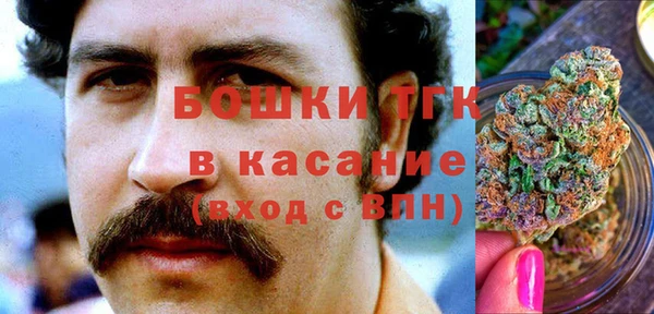 стаф Сосновый Бор