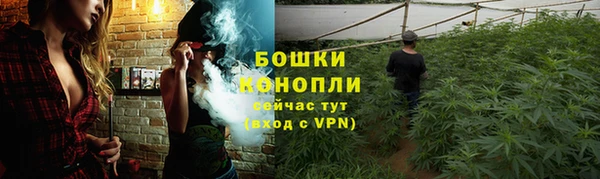 стаф Беломорск